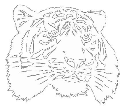 Вытынанка тигра