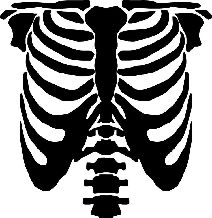 Скелет грудной клетки