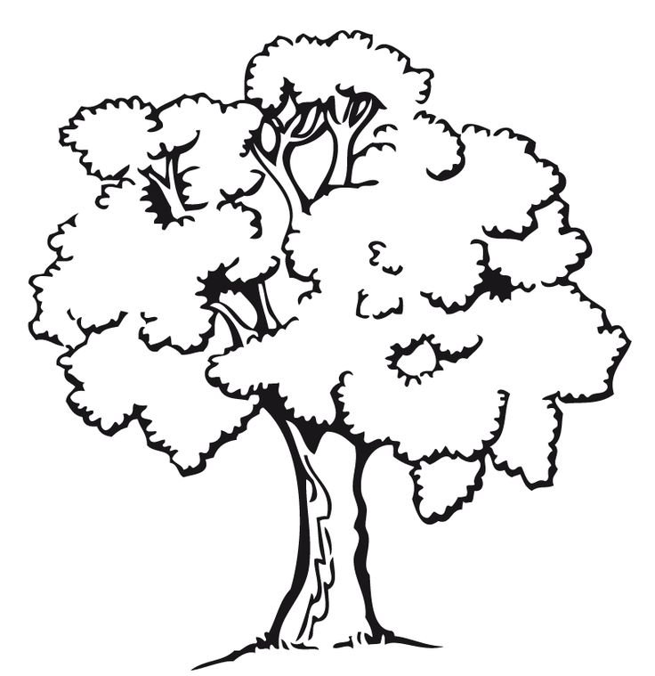 Дерево раскраска для малышей