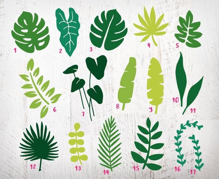 Тропические листья для вырезания