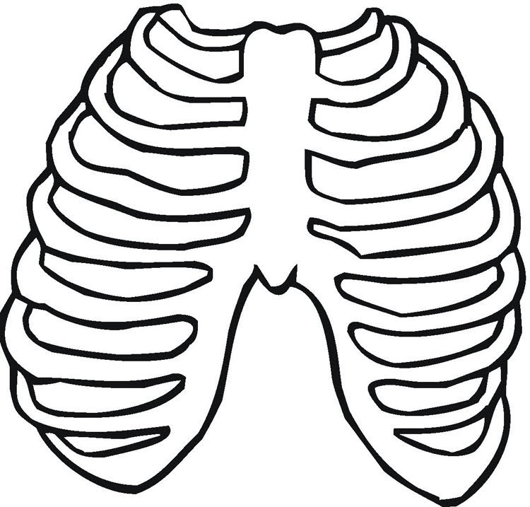 Кости Кощея грудная клетка