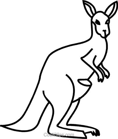 Кенгуру раскраска