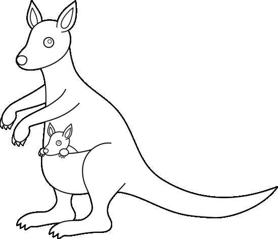 Кенгуру раскраска для детей