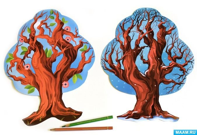 дерево времена года