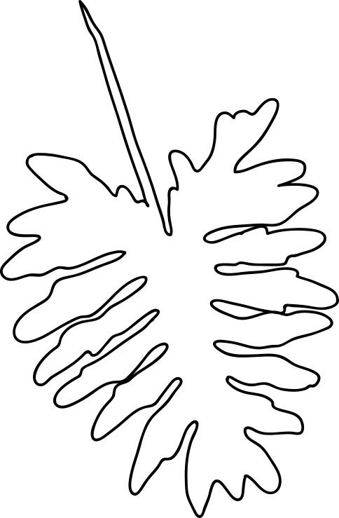 Трафарет тропических листьев