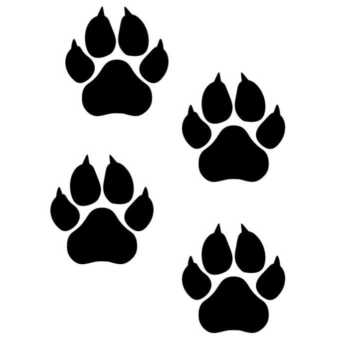 Лапа трафарет