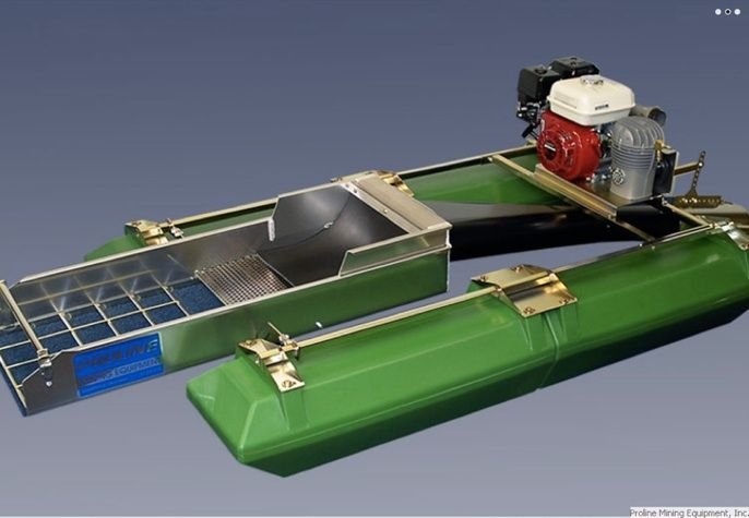 Минидрага Дипсис