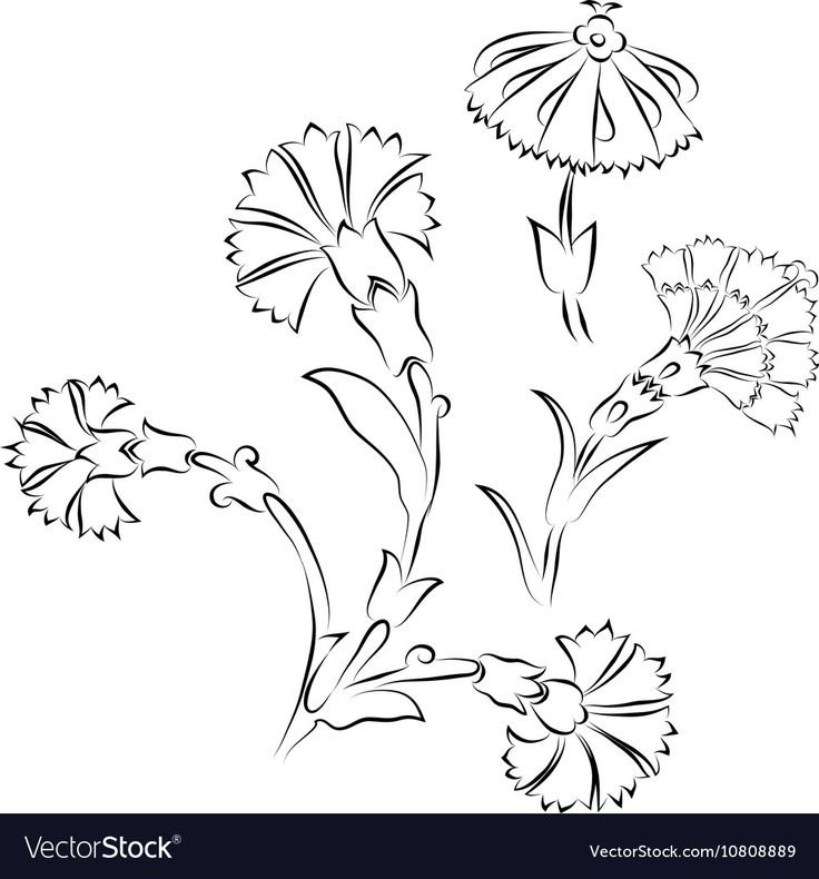 Гвоздика трафарет для вырезания