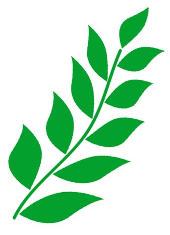 Веточка для аппликации