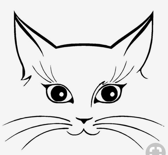 Морда кота рисунок
