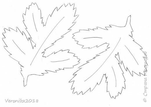 Шаблон еловой ветки на окно