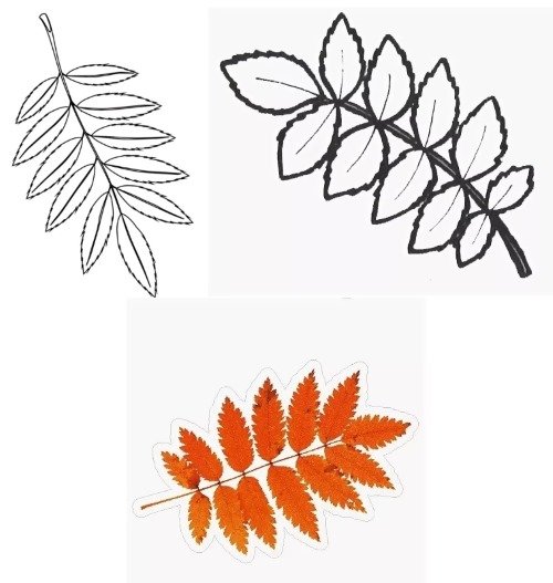 Лист рябины трафарет