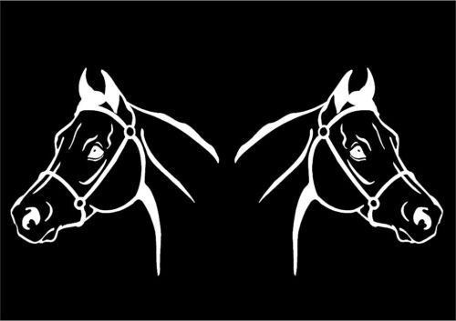 Голова лошади с двух сторон