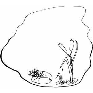 Пруд раскраска для детей