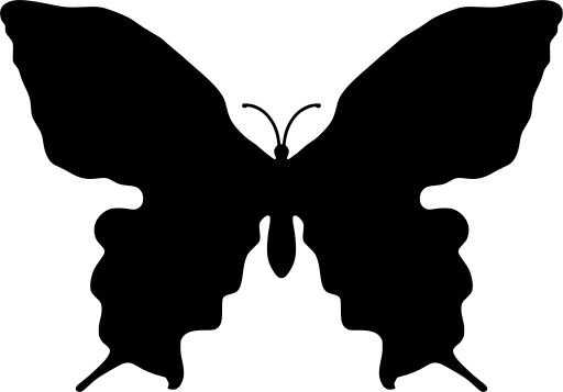 Бабочка без усиков трафарет