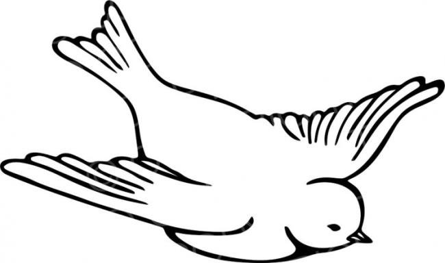 Снегирь в полете раскраска