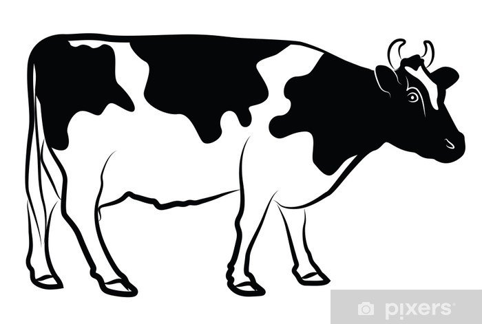 Корова черно белая