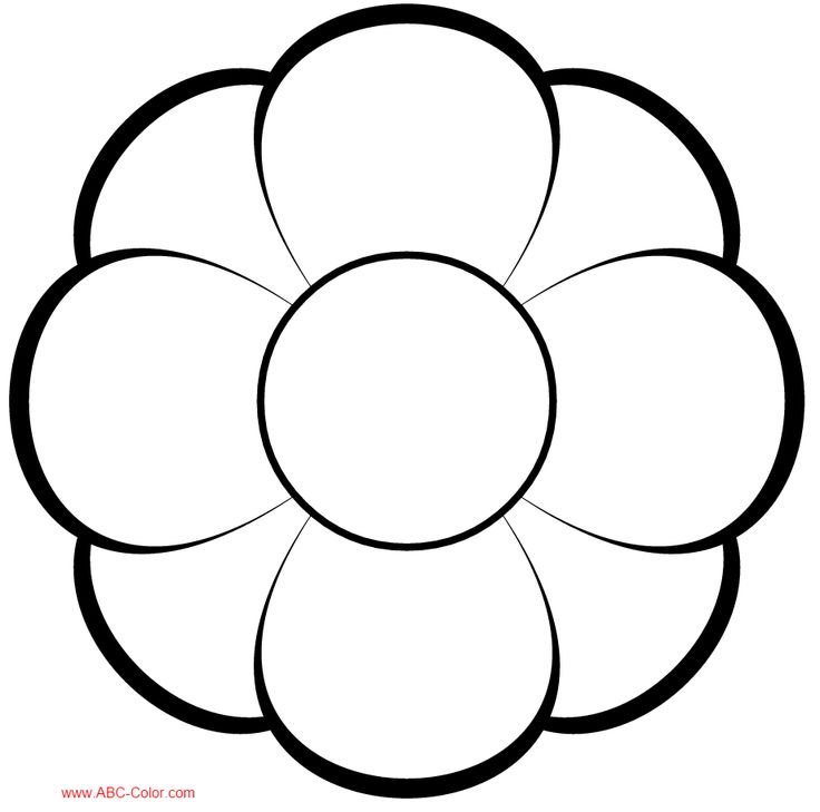 Раскраска цветок из 5 лепестков