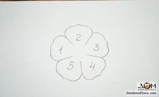 Трафарет для цветов из мастики