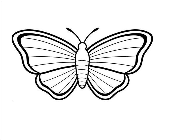 Шаблон бабочки
