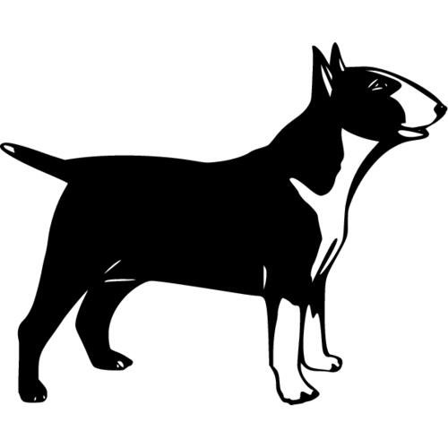 Бультерьер собака