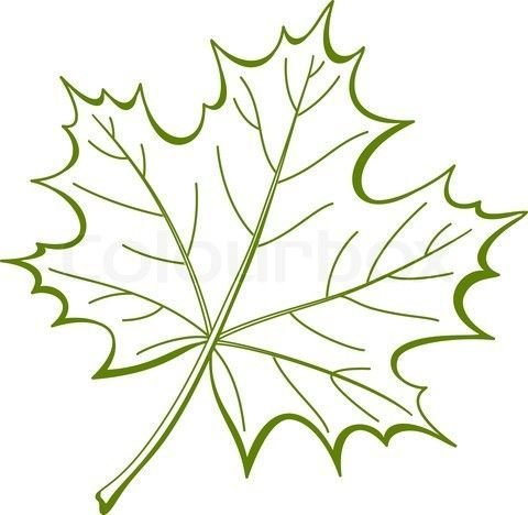 Кленовый лист трафарет для вырезания