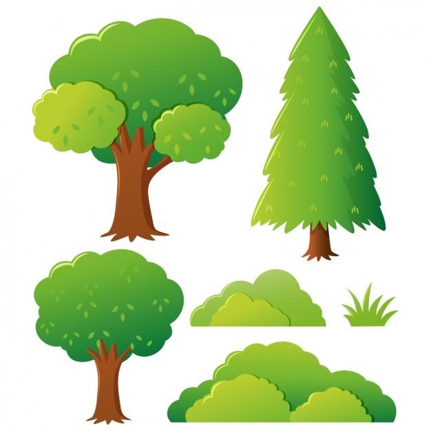 Дерево рисунок