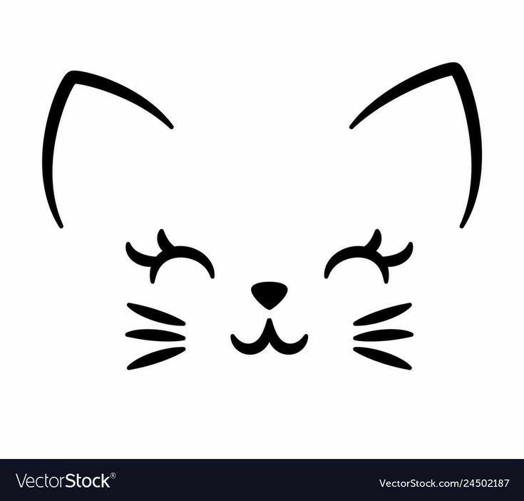 Мордочка кота контур