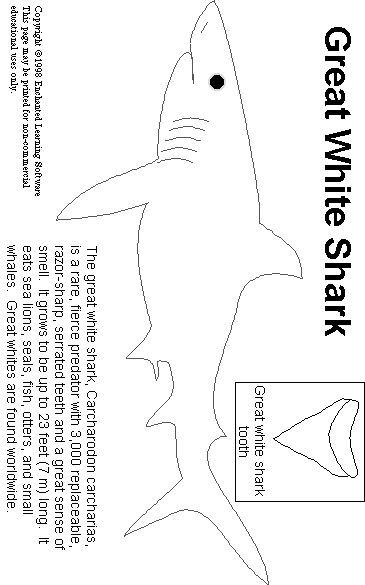 Выкройка игрушки акулы из ткани