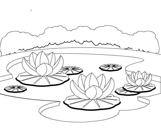 Озеро раскраска для детей