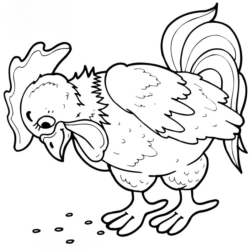 Петушок и бобовое зернышко раскраска