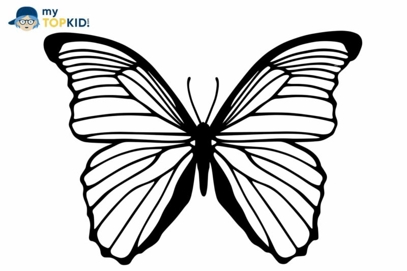 Крыло бабочки трафарет