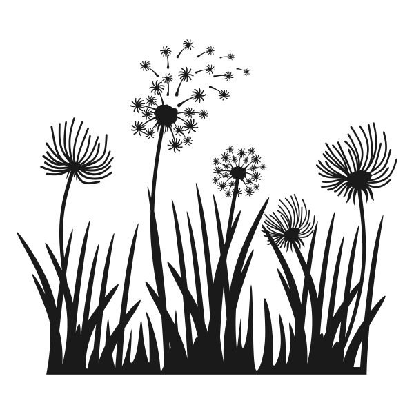 Одуванчик контур