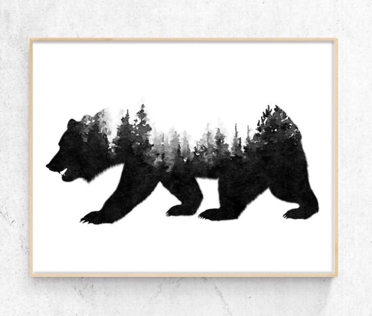 Очертание медведя