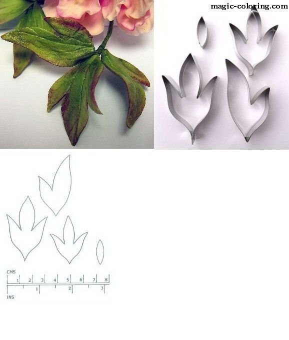 Листья пиона из фоамирана