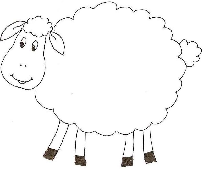 Раскраска барашек для детей
