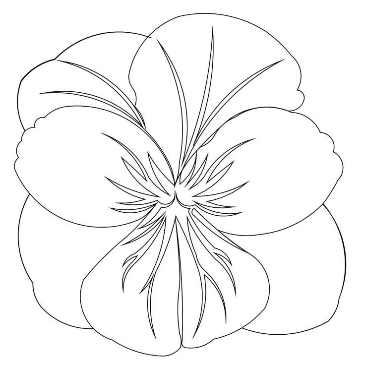 Цветы для раскрашивания крупные