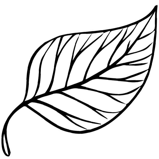 Трафареты "листья"