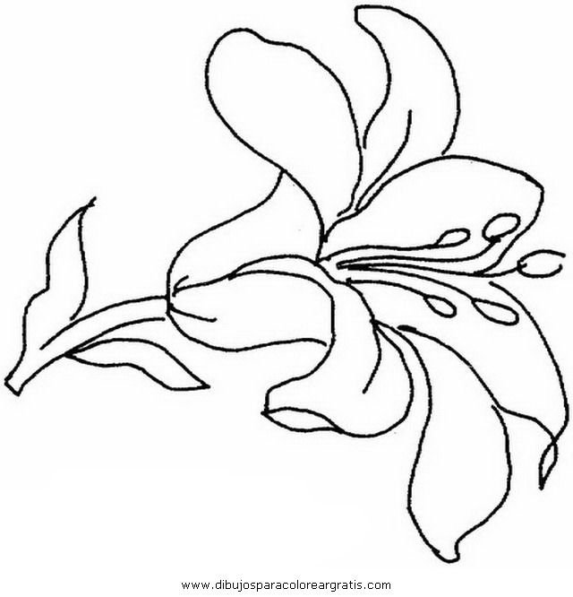 Контуры цветов для рисования