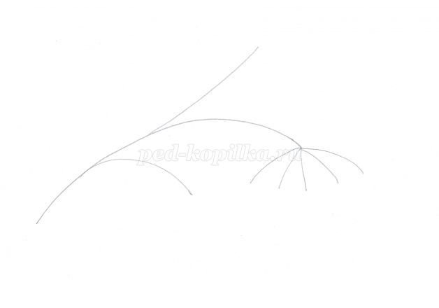 Веточка рябины без ягод для детей