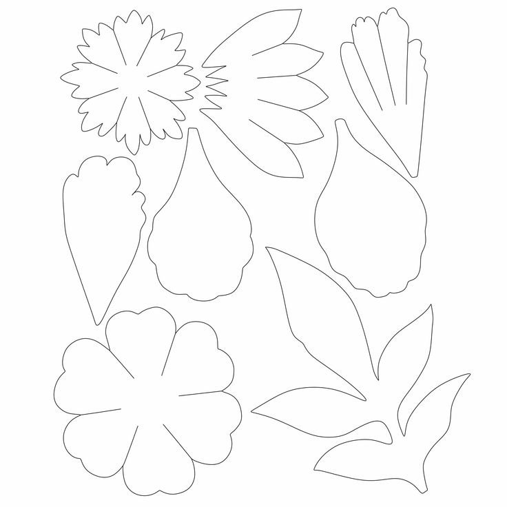 Шаблоны цветов из фоамирана