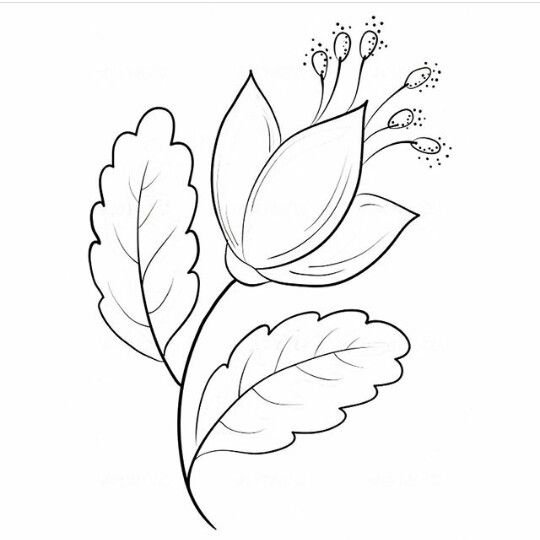 Аленький цветочек контур