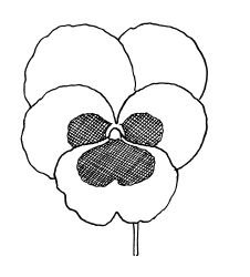 Анютины глазки трафарет