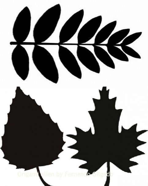 Листья трафарет для вырезания