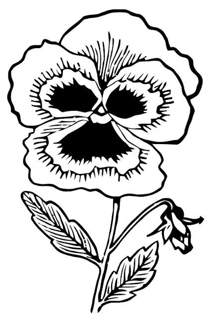 Анютины глазки раскраска для детей