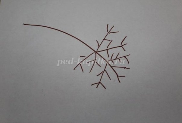 Веточка рябины для рисования без ягод