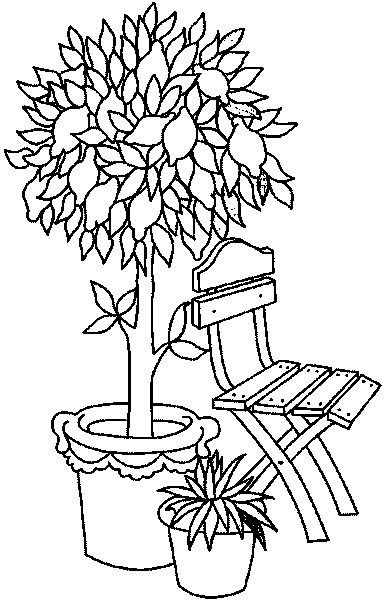 Растения. Раскраска