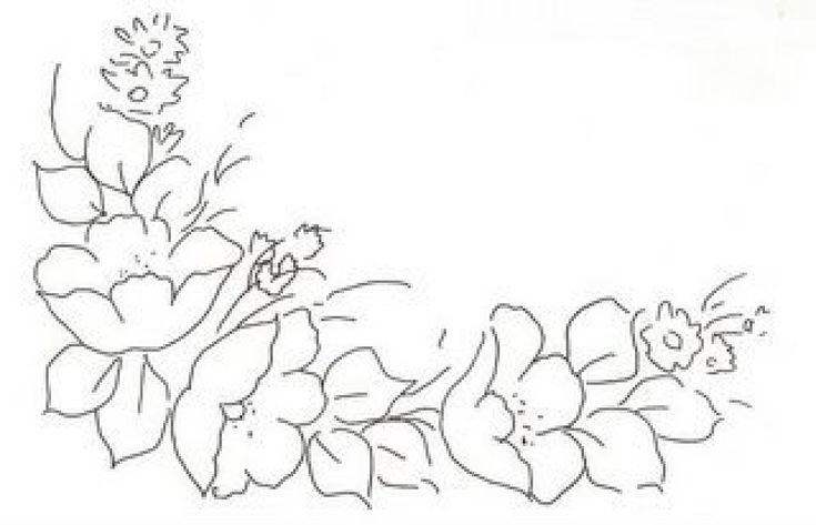 Контуры цветов для рисования