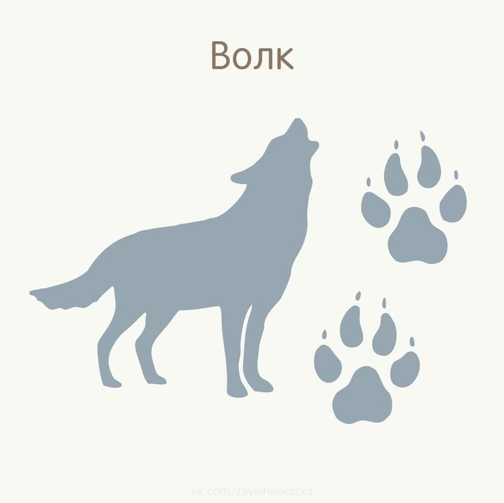 Следы животных для детей