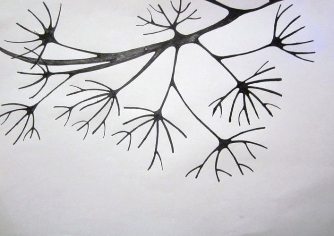 Веточки для рисования